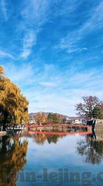 4438x杏彩-杏彩4438x，艺术与科技的融合
