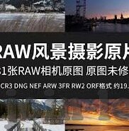 韩国历来世界杯-韩国足球，在世界杯舞台上的坚韧之旅
