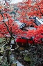 世界杯对奖查询-世界杯对奖查询，激情与期待的交汇点