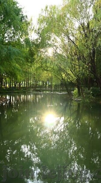 炸金花房卡版app-炸金花房卡版app，娱乐新选择，掌握技巧是关键