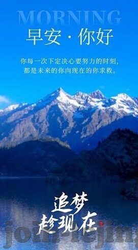自动的足球比分-自动足球比分，科技赋能绿茵场，重塑赛事观赛新体验